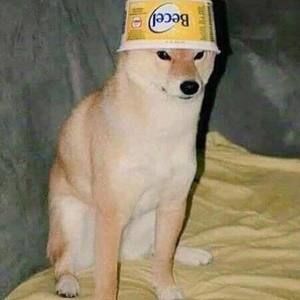 Meet your Posher, Drake